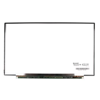 Display LCD für Fujitsu S935 S936 S938 2560x1440 Pixel Non Touch