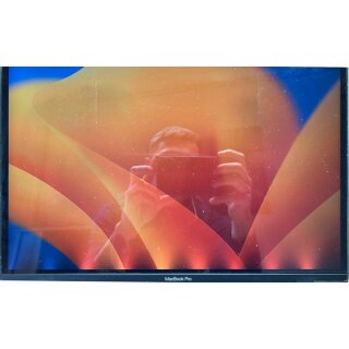 Apple MacBook Pro 15" A1707 A1990 Display LCD Flexgate Reparatur kein Austausch
