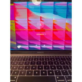 Apple MacBook Pro 13" A1707 Display LCD Dustgate Repair no Replacement