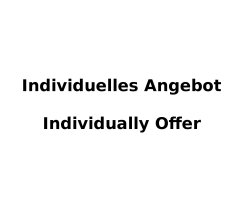 BIOS/EC Firmware flashen Geekom Air 12