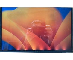 Apple MacBook Pro 16 A2141 Display LCD Flexgate Reparatur...